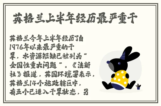把香蕉弄进女人桃子里