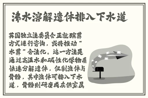 国产精品欧美极品