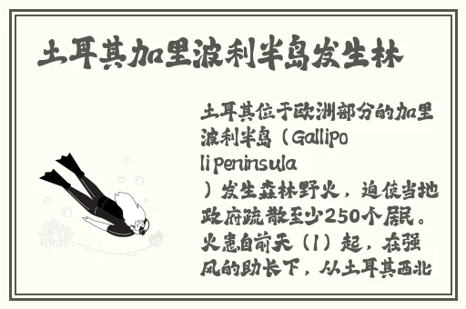 草莓 榴莲 丝瓜 绿巨人ios